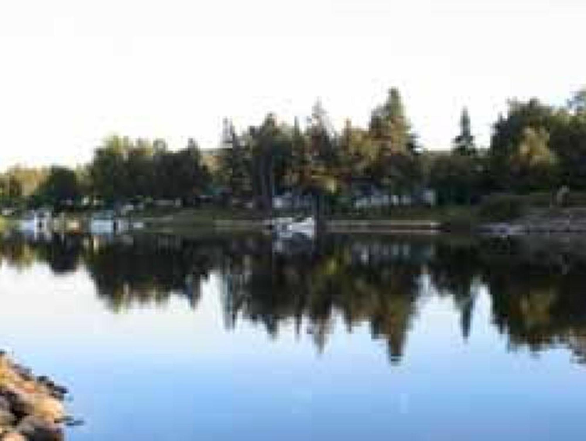 Le Reflet De La Riviere B&B Weedon-Centre Eksteriør billede