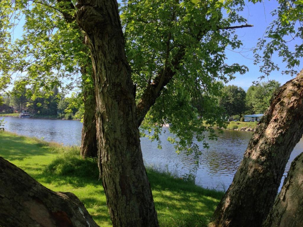 Le Reflet De La Riviere B&B Weedon-Centre Eksteriør billede
